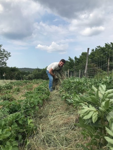 Sam in Slovenië